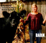 Ilderton Fall Fair