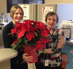 Staff receiving poinsettias from Usborne and Hibbert