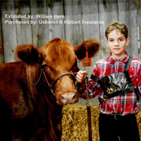 Purchase of Steer/Heifer