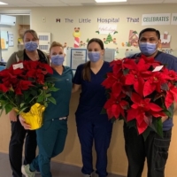 Project Poinsettia Delivery 2023
