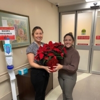 Project Poinsettia