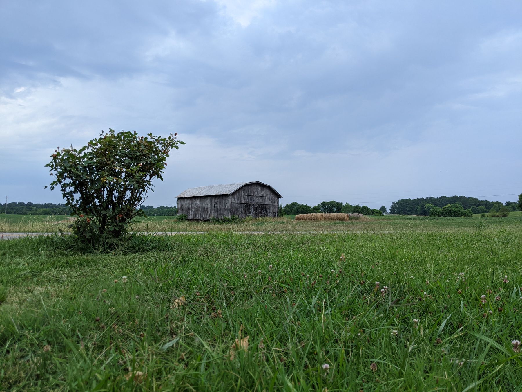 Rural property in spring